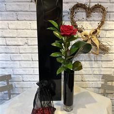 Red rose with Chocolates