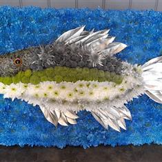 Fish on a background