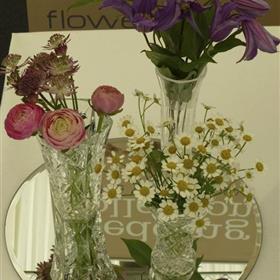 fwthumbp1000520.jpg