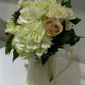 fwthumbp1010995.jpg