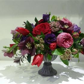 fwthumbp1040028.jpg