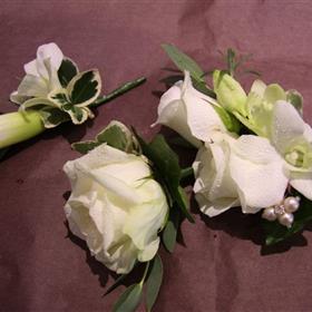fwthumbimg_6406.jpg