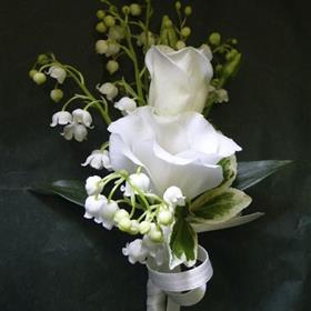 fwthumbp1000662.jpg