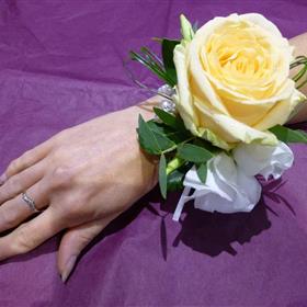 fwthumbp1010014.jpg