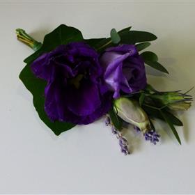 fwthumbp1010310.jpg