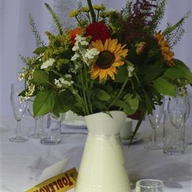 fwthumbp1010261.jpg
